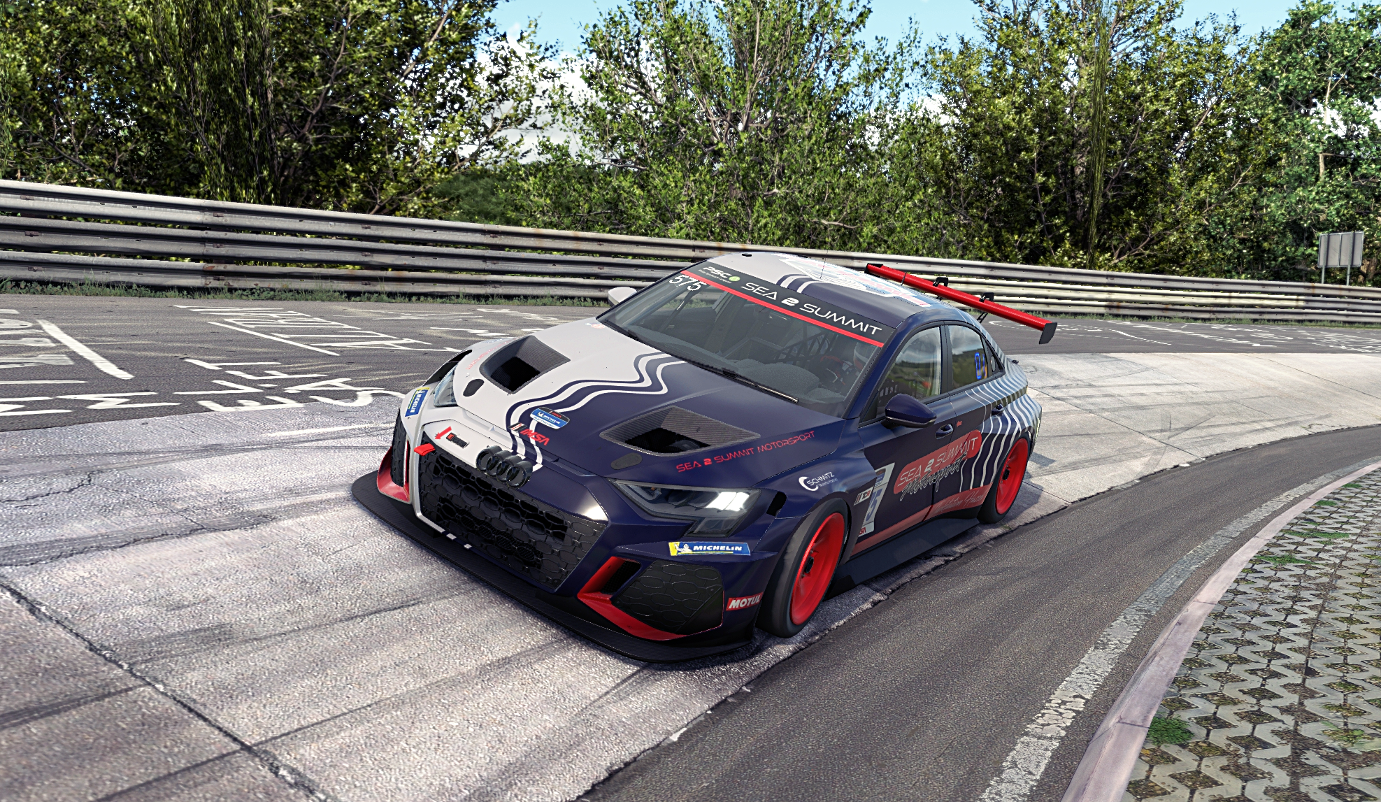 Audi RS3 LMS Gen2 TCR — Nürburgring Endurance Championship